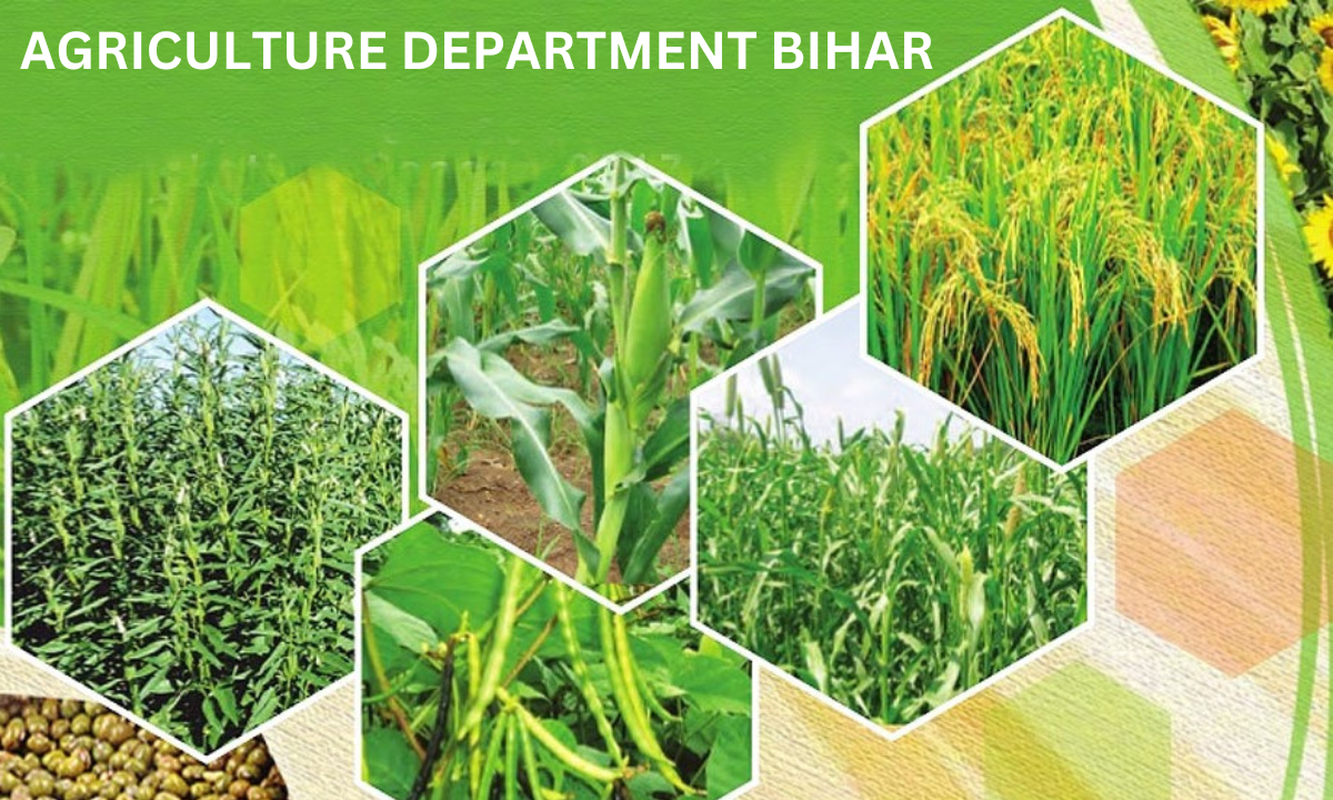 agriculture department bihar